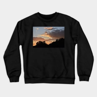 Tree Line Silhouette Crewneck Sweatshirt